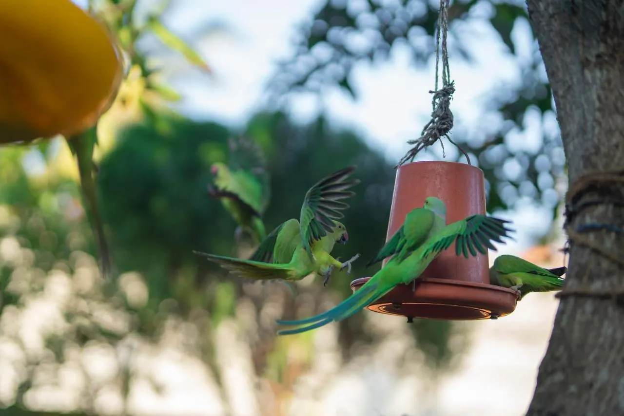 The Garden Gate Resort & Apartments No 02 Negombo 0*,